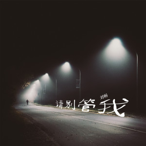 Listen to 请别管我 song with lyrics from 刘畅