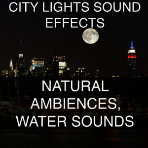 收聽City Lights Sound Effects的Beach Waves Ambience Sound Effects Sound Effect Sounds EFX Sfx FX Nature and Weather Nature Miscellaneous歌詞歌曲