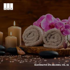 Album Rejuvenative Spa Melodies, Vol. 06 from Various