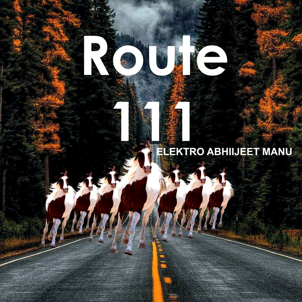 Route 111