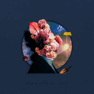 Listen to Don't Pick The Rose song with lyrics from 우디로즈 (WoodyRose)