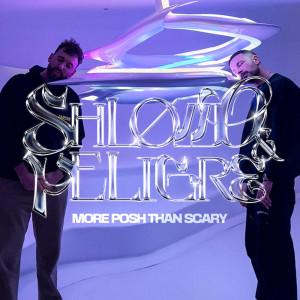 ดาวน์โหลดและฟังเพลง More Posh Than Scary พร้อมเนื้อเพลงจาก Shlømo