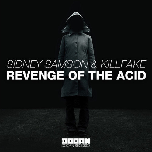 Revenge Of The Acid (Original Mix)
