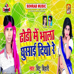 Listen to Dhori Me Bhala Dhusai Dio Re song with lyrics from Bittu Bihari