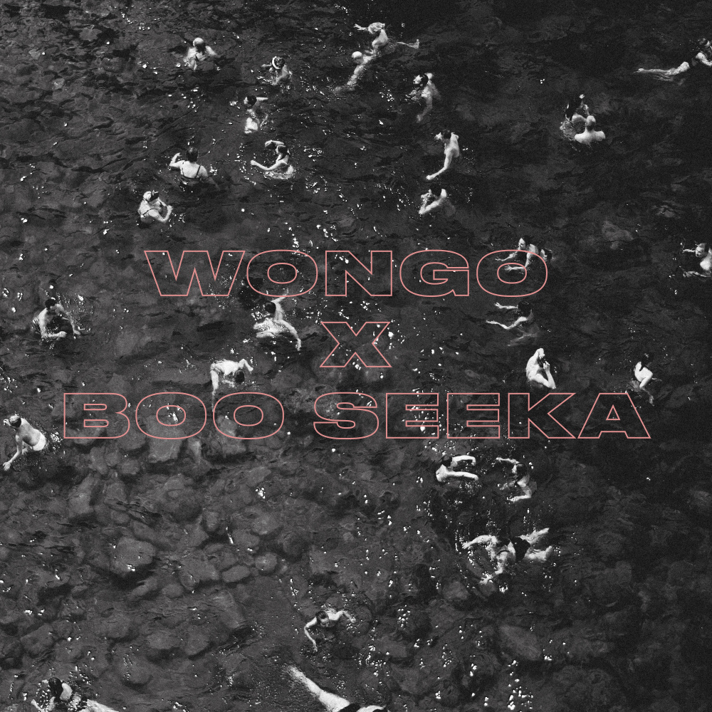 Finish What You Started (Wongo Remix)