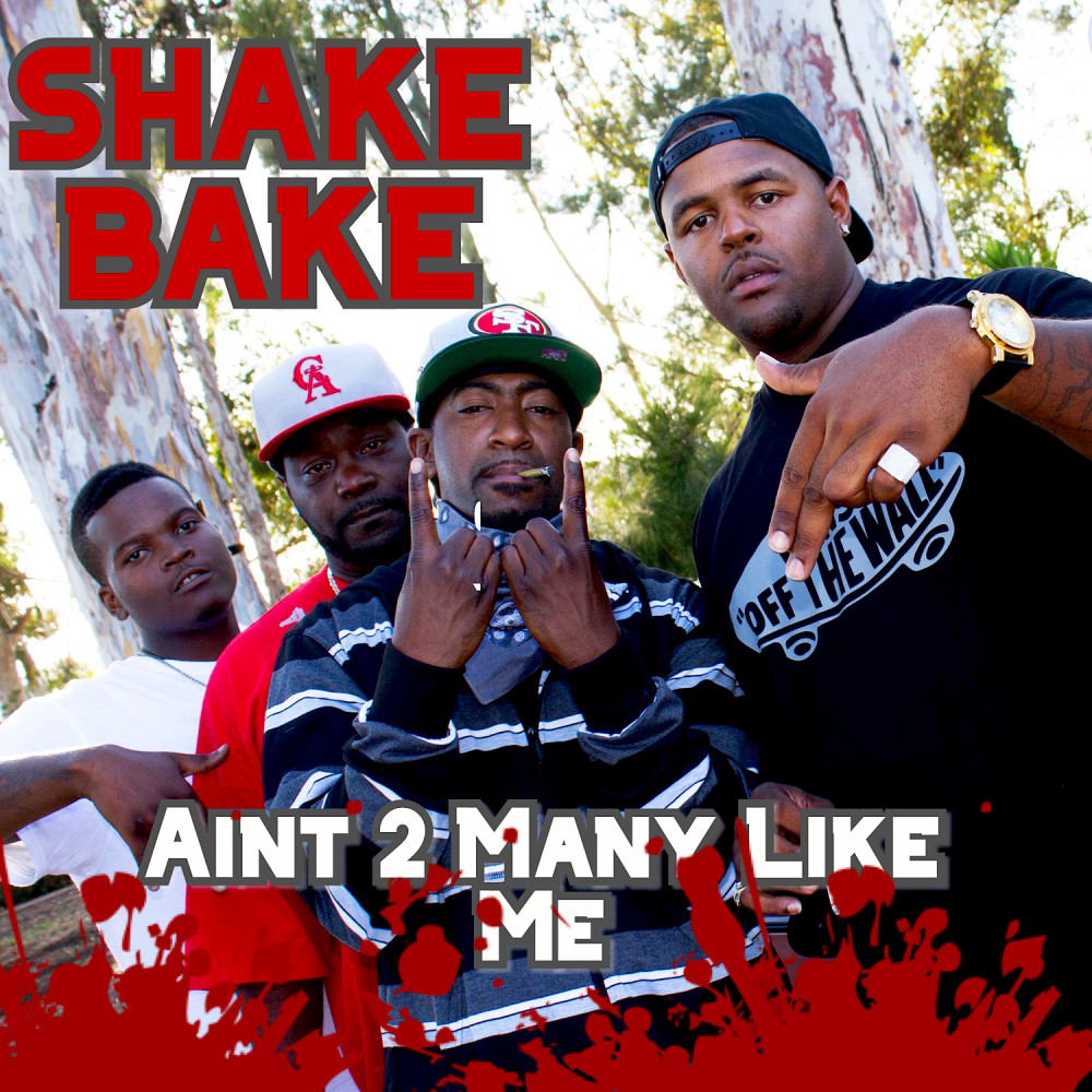 Ain't 2 Many Like Me (Explicit)