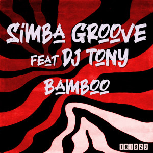 Listen to Electrik Man song with lyrics from Simba Groove