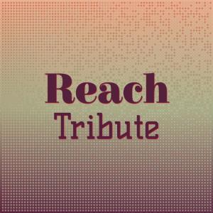 Various的专辑Reach Tribute