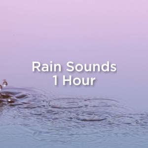 收听Rain Sounds的Relaxing Rain歌词歌曲