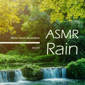 貴族音樂深度睡眠的專輯睡眠治癒之森 白噪音ASMR放鬆五感雨聲