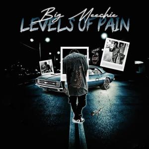 收聽Big Meechie的Level of pain (Explicit)歌詞歌曲