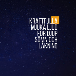 Djup Sömn Akademi的专辑Kraftfulla mjuka ljud för djup sömn och läkning