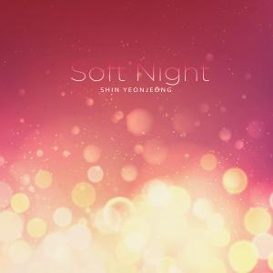 신연정的專輯Soft Night