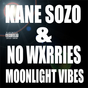 Album Moonlight Vibes (Explicit) from Kane sozo