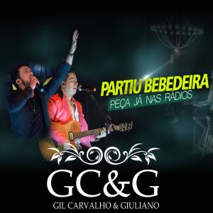 Album Partiu Bebedeira from 