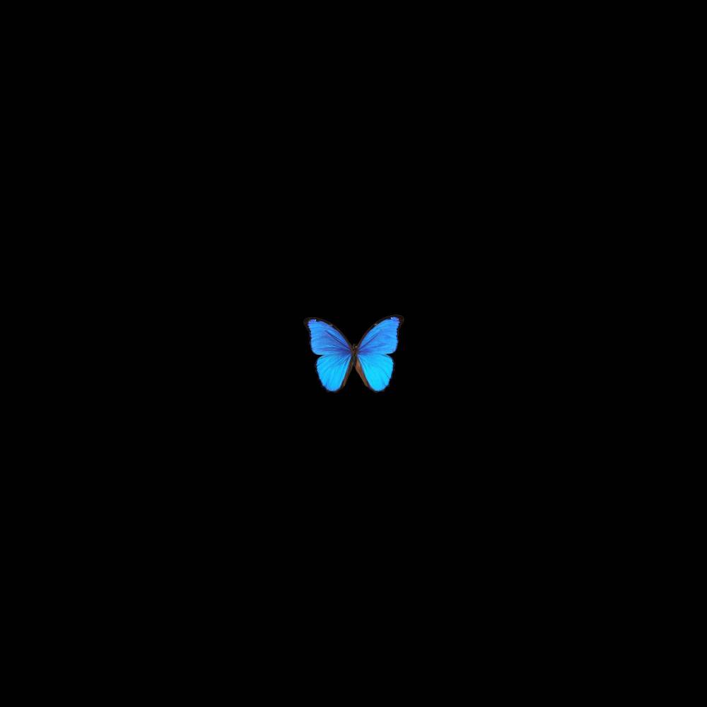 brillan2