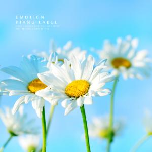 Listen to Dream of freedom song with lyrics from Holly Field