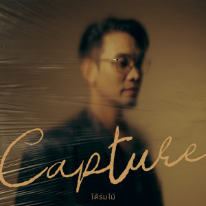 Album Capture ใต้ร่มไม้ from Penguin Villa