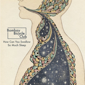 ดาวน์โหลดและฟังเพลง How Can You Swallow So Much Sleep พร้อมเนื้อเพลงจาก Bombay Bicycle Club