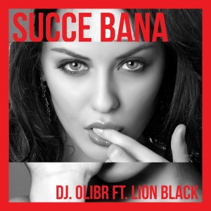 Listen to Succe Bana song with lyrics from Dj Olibr