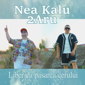 Listen to Liber ca pasarea cerului song with lyrics from Nea Kalu