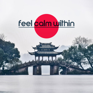Healing Yoga Meditation Music Consort的專輯Feel Calm Within (Mystic Journey with Gentle Oriental Music)