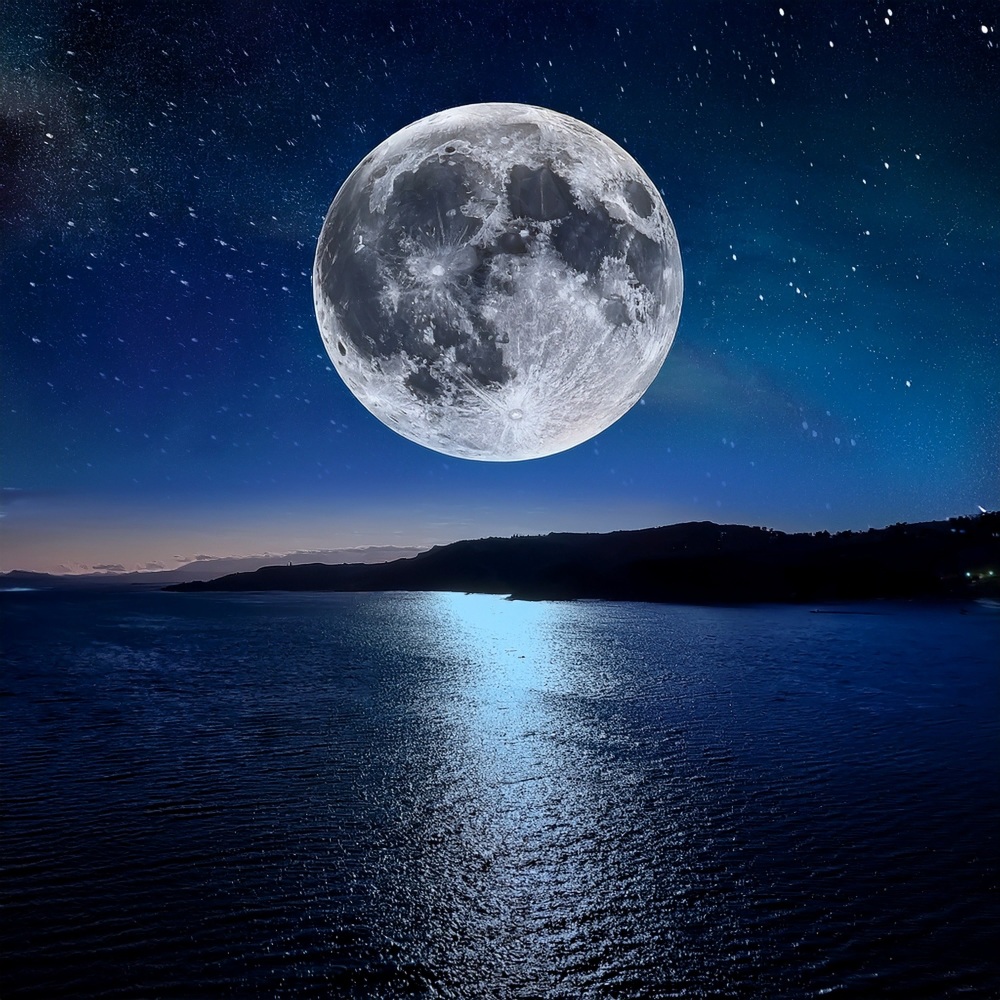 Murmullo Nocturno Del Silencio