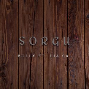 Listen to Sorgu (Explicit) song with lyrics from Bully