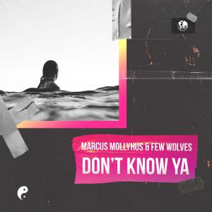 Marcus Mollyhus的专辑Don't Know Ya