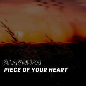 Album Piece of Your Heart from Slayduza