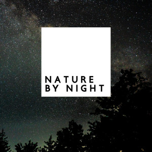 Dengarkan Night Relaxation lagu dari Healing Meditation Zone dengan lirik