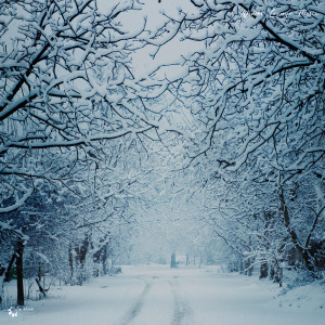 Listen to Inner Joy song with lyrics from Lafoliedamour
