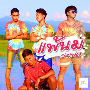 ดาวน์โหลดและฟังเพลง แพ้นม พร้อมเนื้อเพลงจาก วงเฟส