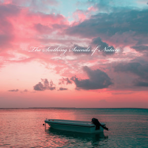 Album The Soothing Sounds of Nature (Meditation Morning Routine, Relaxation Zone Massage) from 