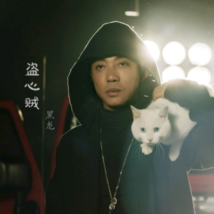 Listen to 盗心贼 (DJ小品 remix) (Remix) song with lyrics from DJ小品