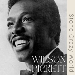 Album Stone Crazy World from Wilson Pickett