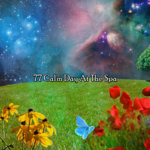 Nature Sound Series的专辑77 Calm Day At The Spa