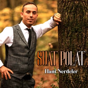 Suat Polat的專輯Hani Nerdeler
