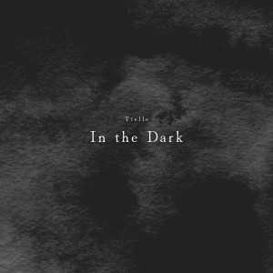 Tielle的專輯In the Dark