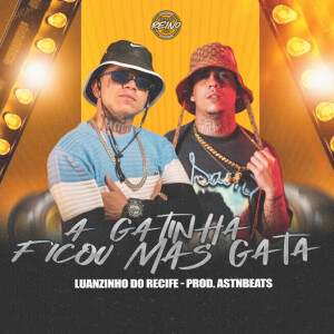 Luanzinho do Recife的专辑A GATINHA FICOU MAIS GATA (Explicit)