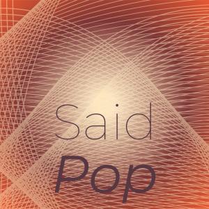 Various Artists的專輯Said Pop