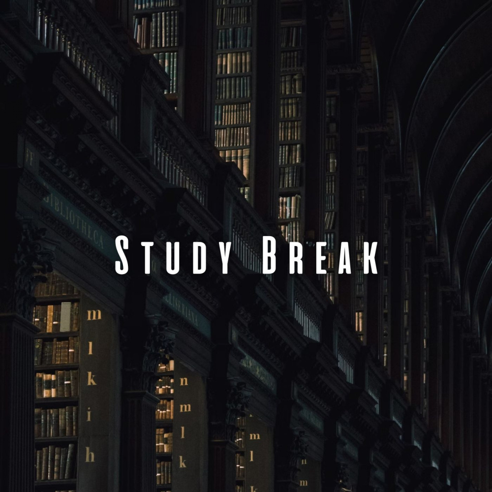 Serene Academic Chillout