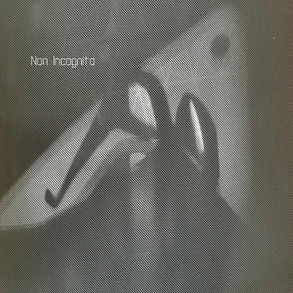 Non incognito