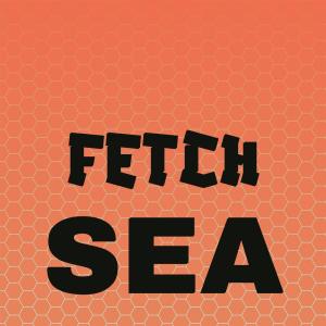 Various的专辑Fetch Sea