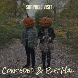 Listen to Surprise Visit (Explicit) song with lyrics from Conceded
