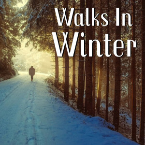 อัลบัม Walks In Winter ศิลปิน Various Artists