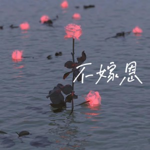Album 不嫁恩 from 文森