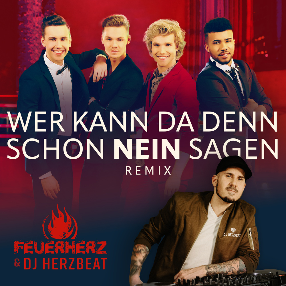 Wer kann da denn schon nein sagen? (Remix)