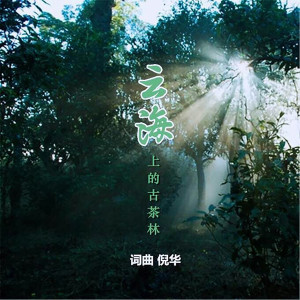 收聽倪華的雲海上的古茶林 (伴奏)歌詞歌曲