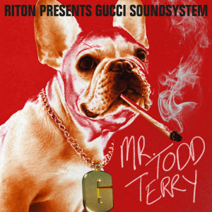 Riton的專輯Mr Todd Terry